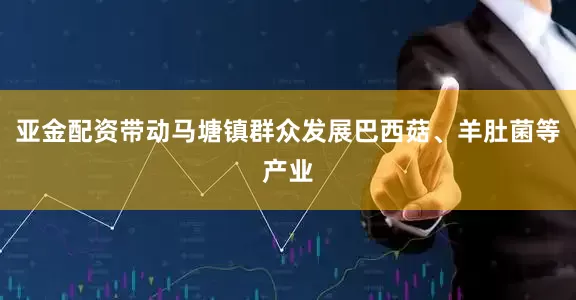 亚金配资带动马塘镇群众发展巴西菇、羊肚菌等产业