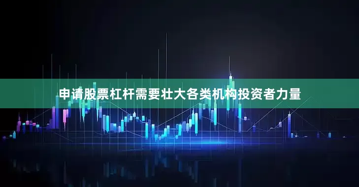 申请股票杠杆需要壮大各类机构投资者力量