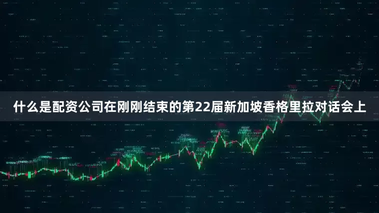 什么是配资公司在刚刚结束的第22届新加坡香格里拉对话会上