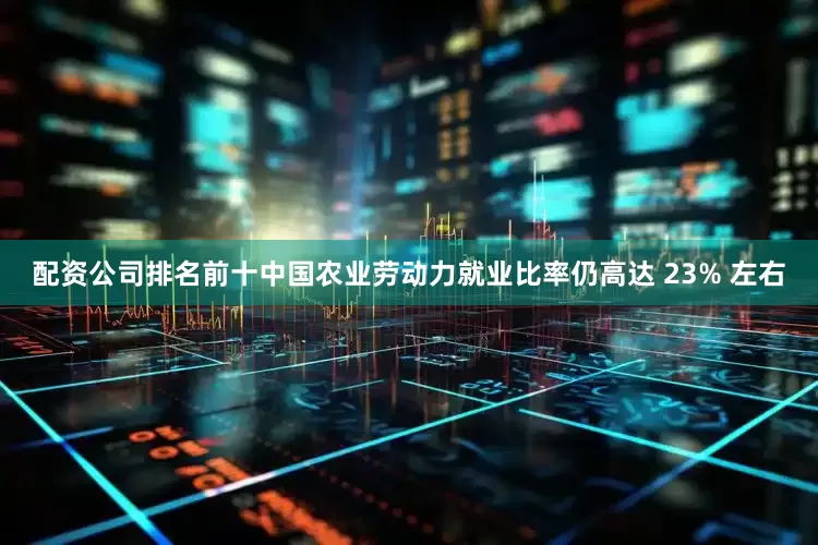 配资公司排名前十中国农业劳动力就业比率仍高达 23% 左右