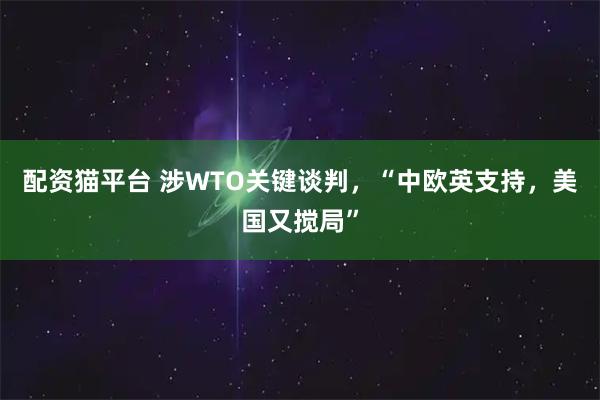 配资猫平台 涉WTO关键谈判，“中欧英支持，美国又搅局”